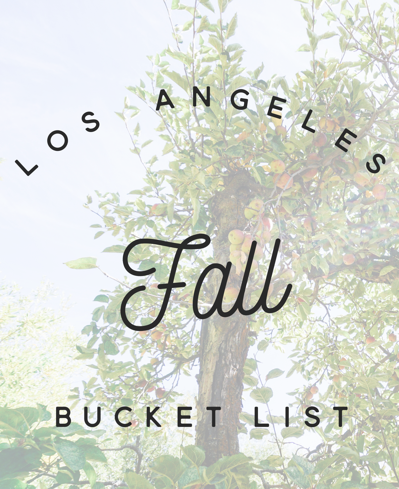 Los Angeles Fall Bucket List | Twinspiration