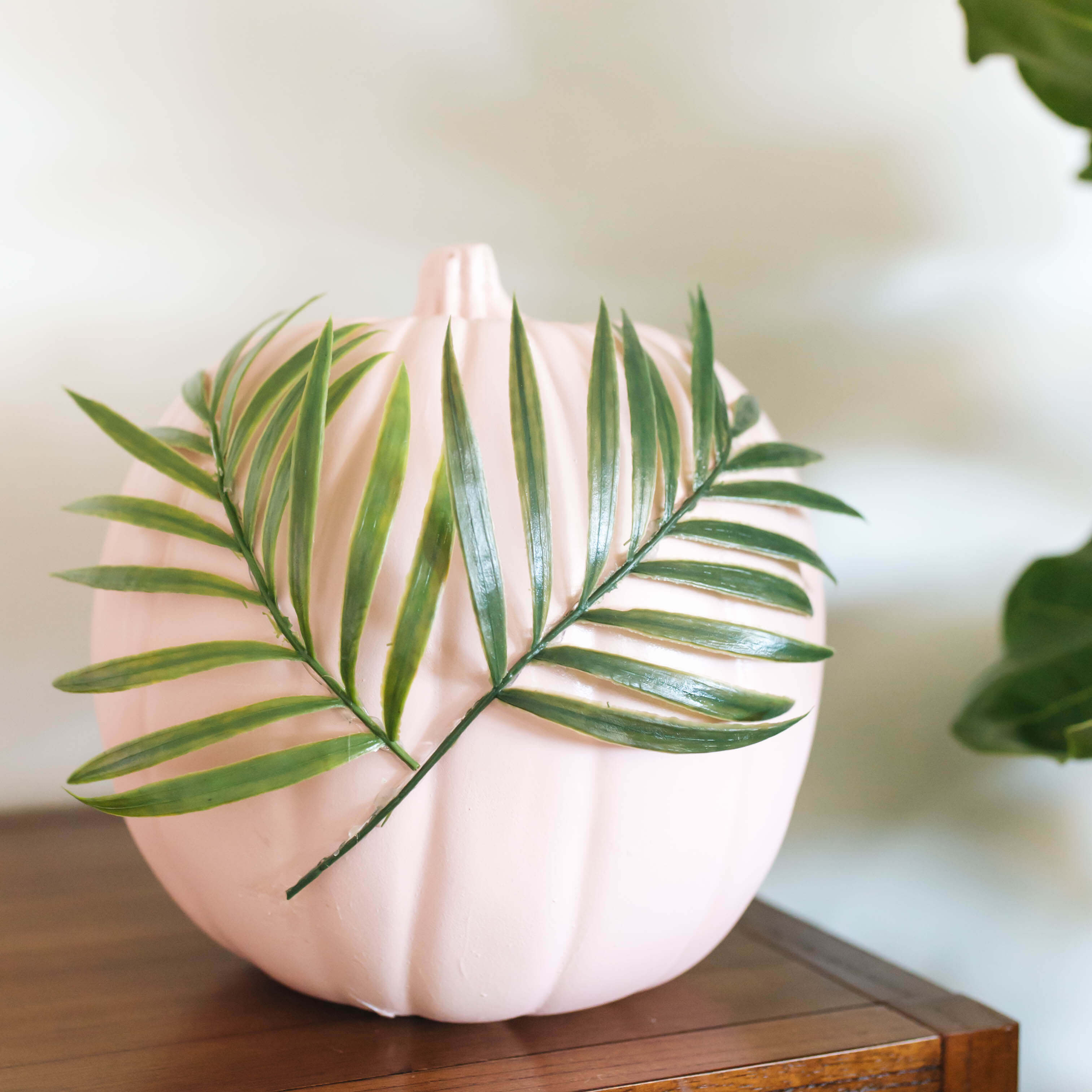 DIY Plants on Pink Pumpkins | Twinspiration