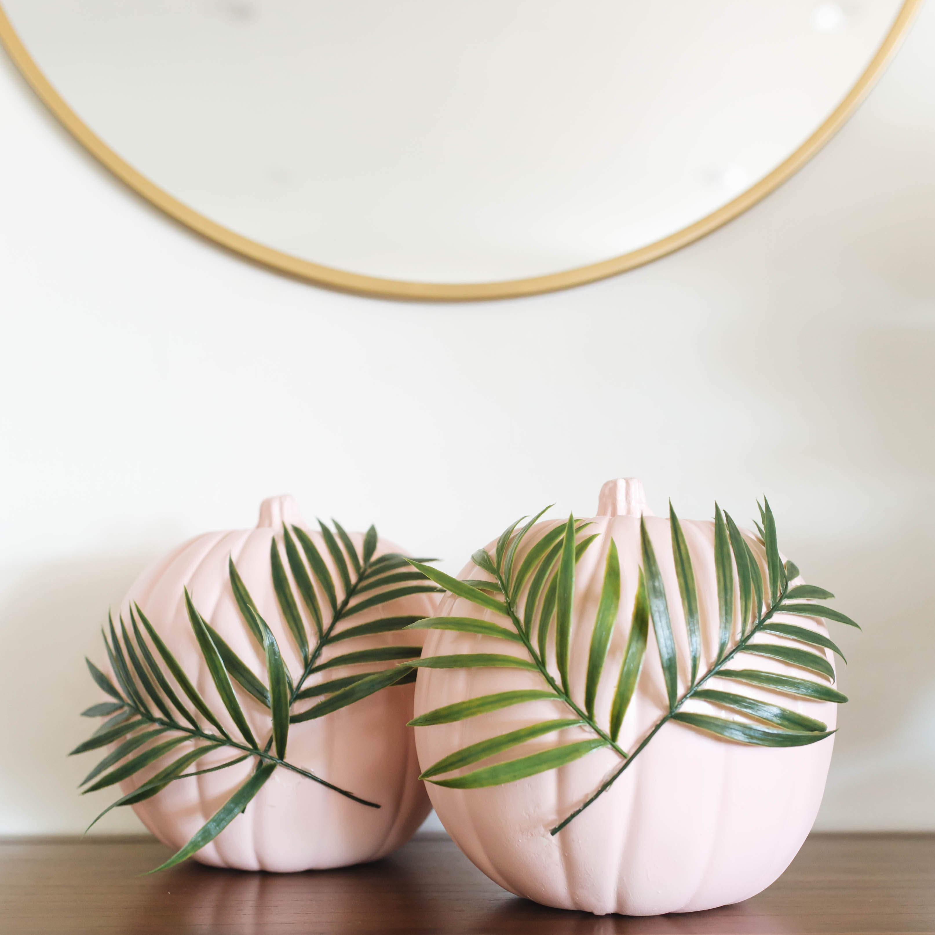 DIY Plants on Pink Pumpkins | Twinspiration