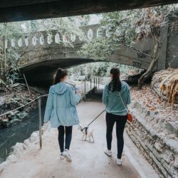 Griffith Park & The Trails Cafe | Twinspiration