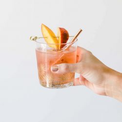 Peach Citrus Rosé Spritzer | Twinspiration