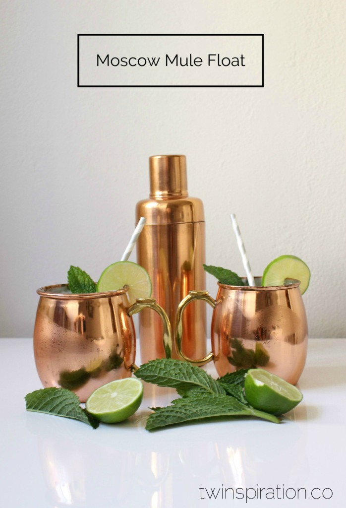 Moscow Mule Float by Twinspiration at https://twinspiration.co/moscow-mule-float/