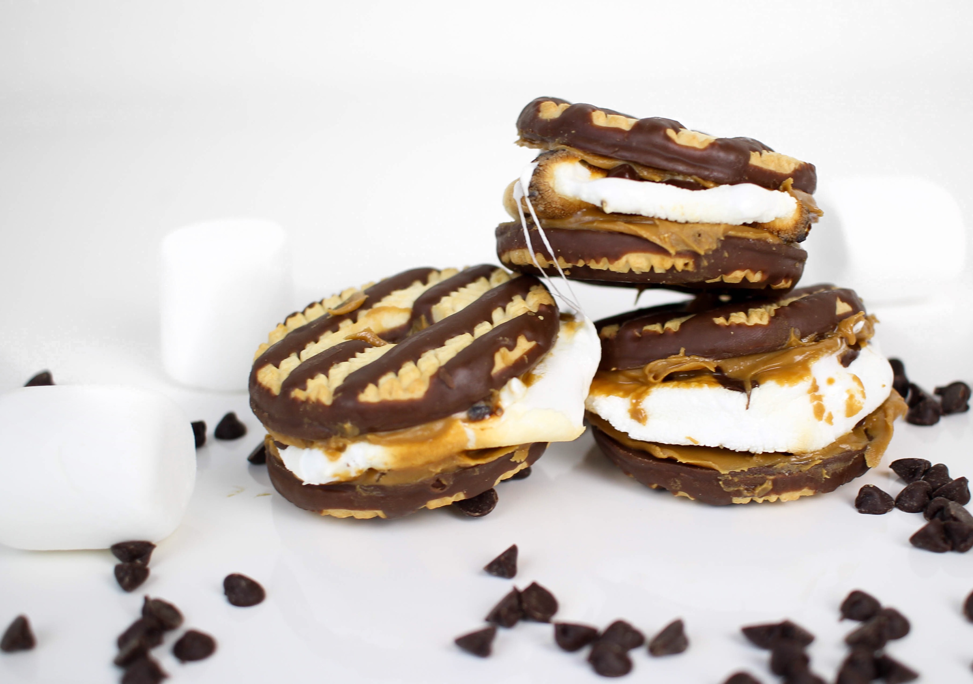 Cookie Lovers S'mores | Twinspiration