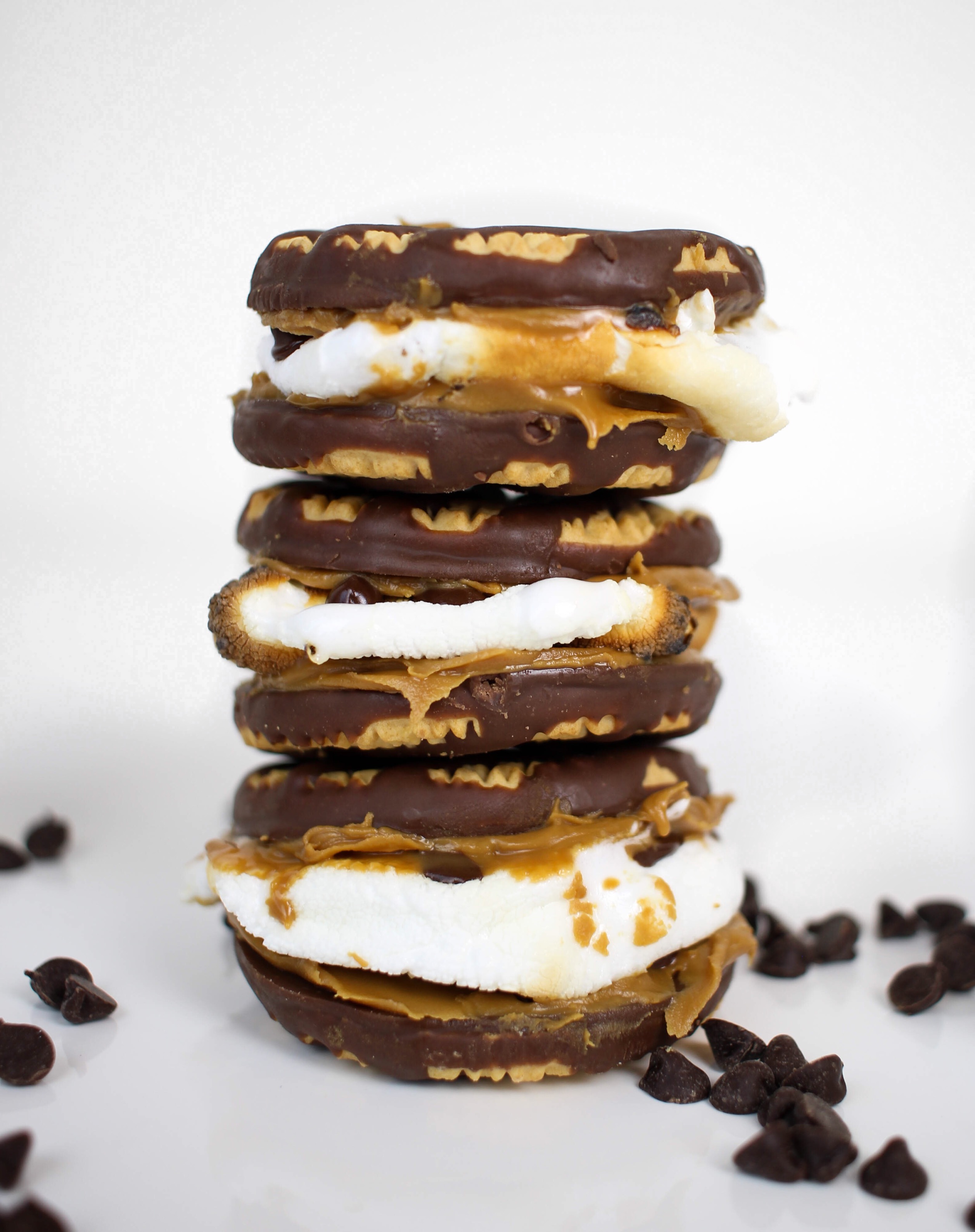 Cookie Lovers S'mores | Twinspiration