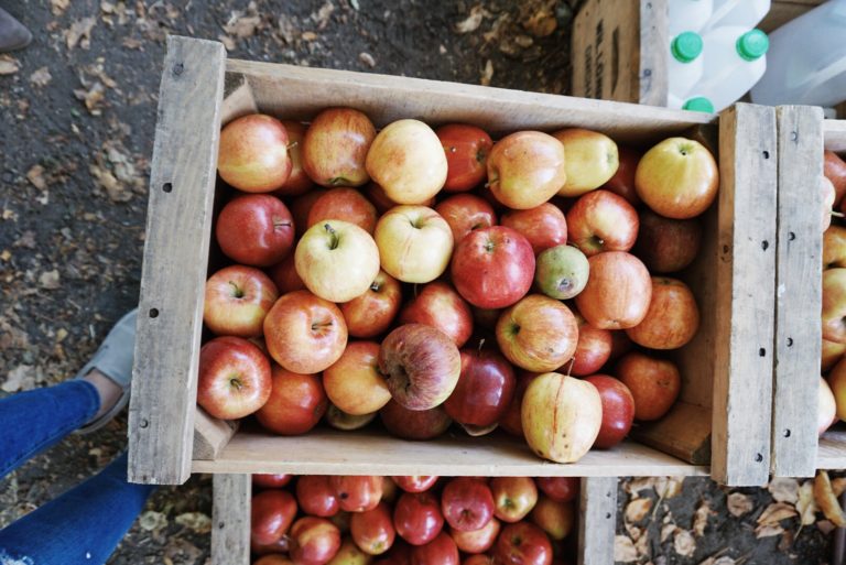 LA Living: Apple Picking