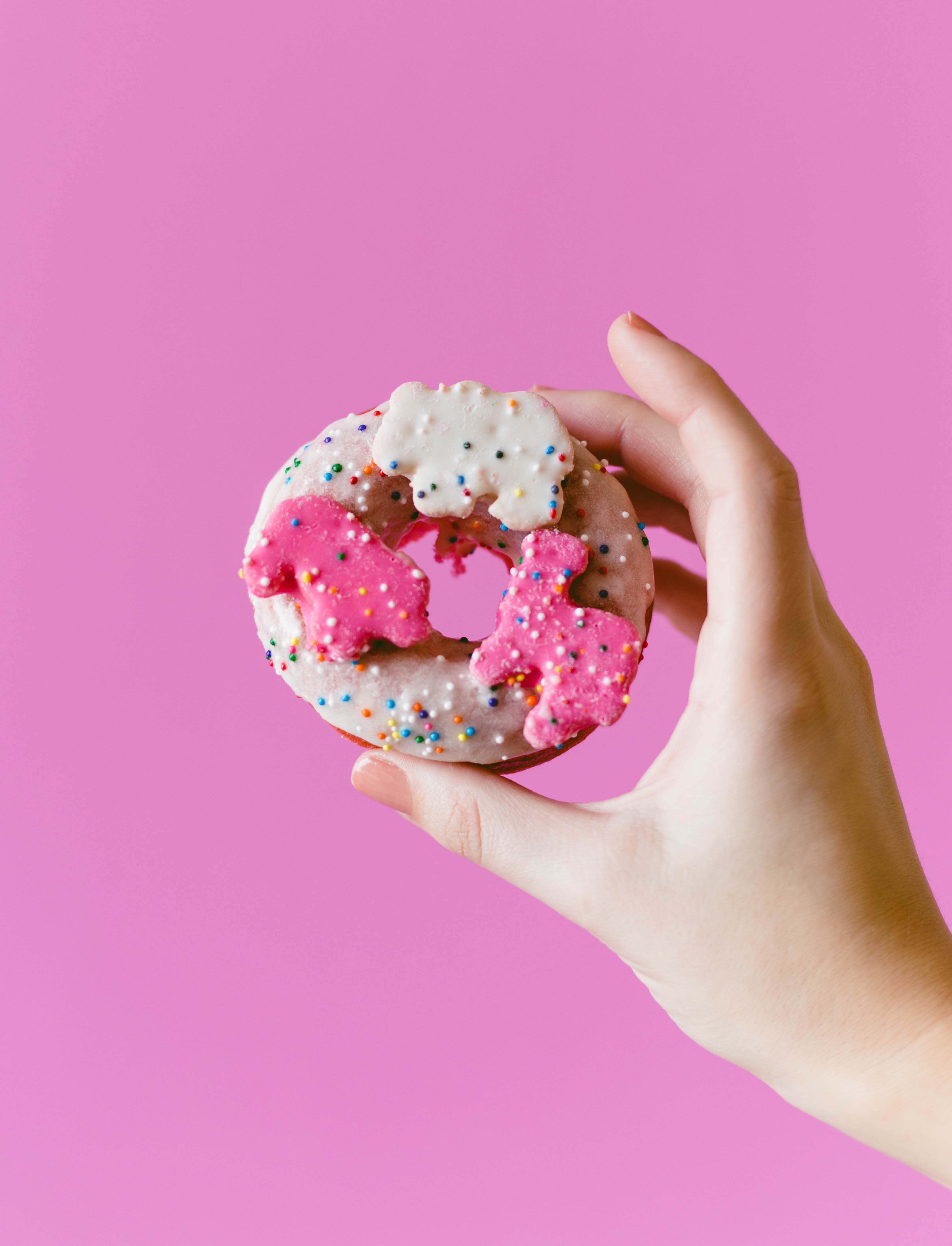 Circus Animal Cookie Donuts | Twinspiration