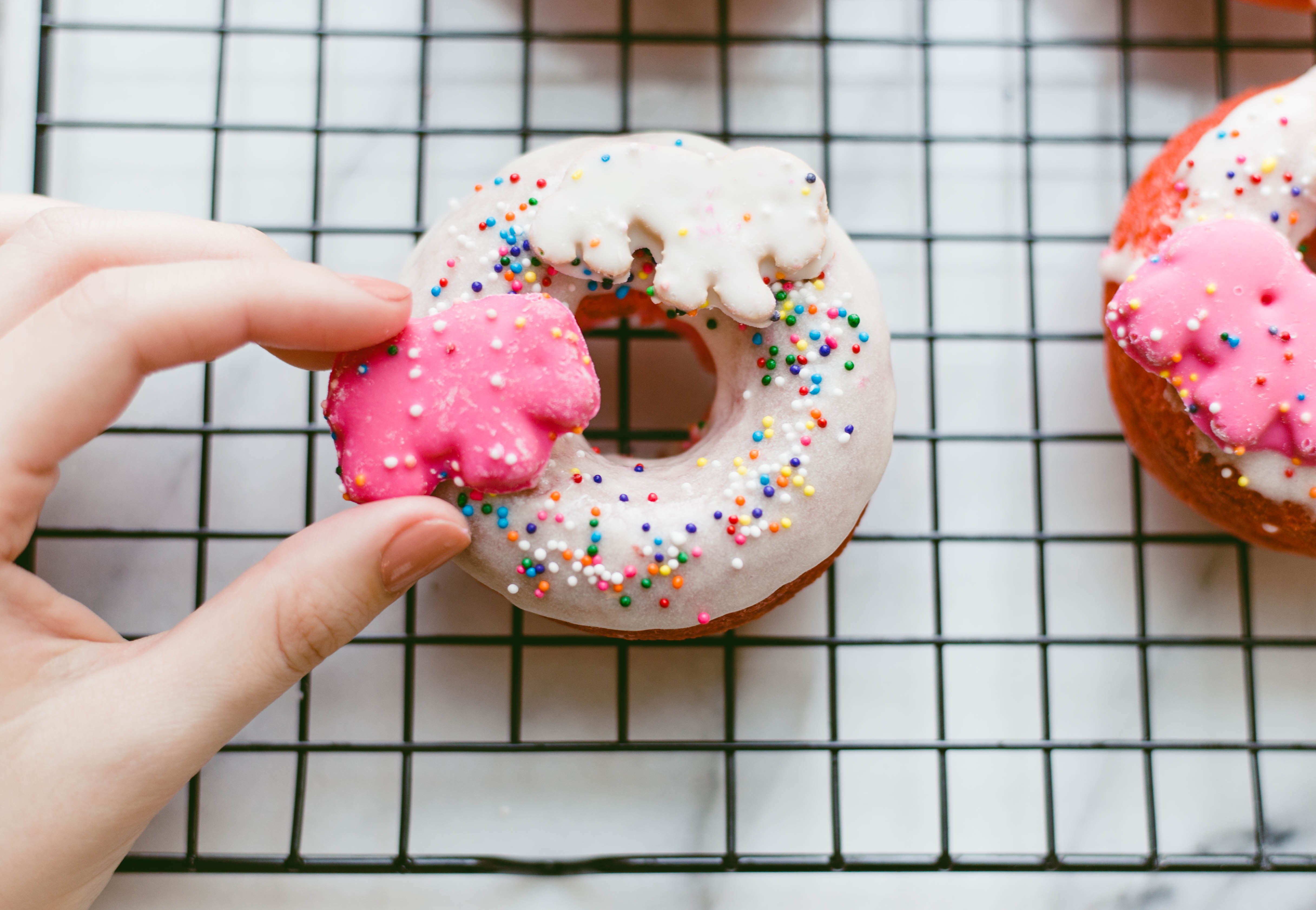 Circus Animal Cookie Donuts | Twinspiration