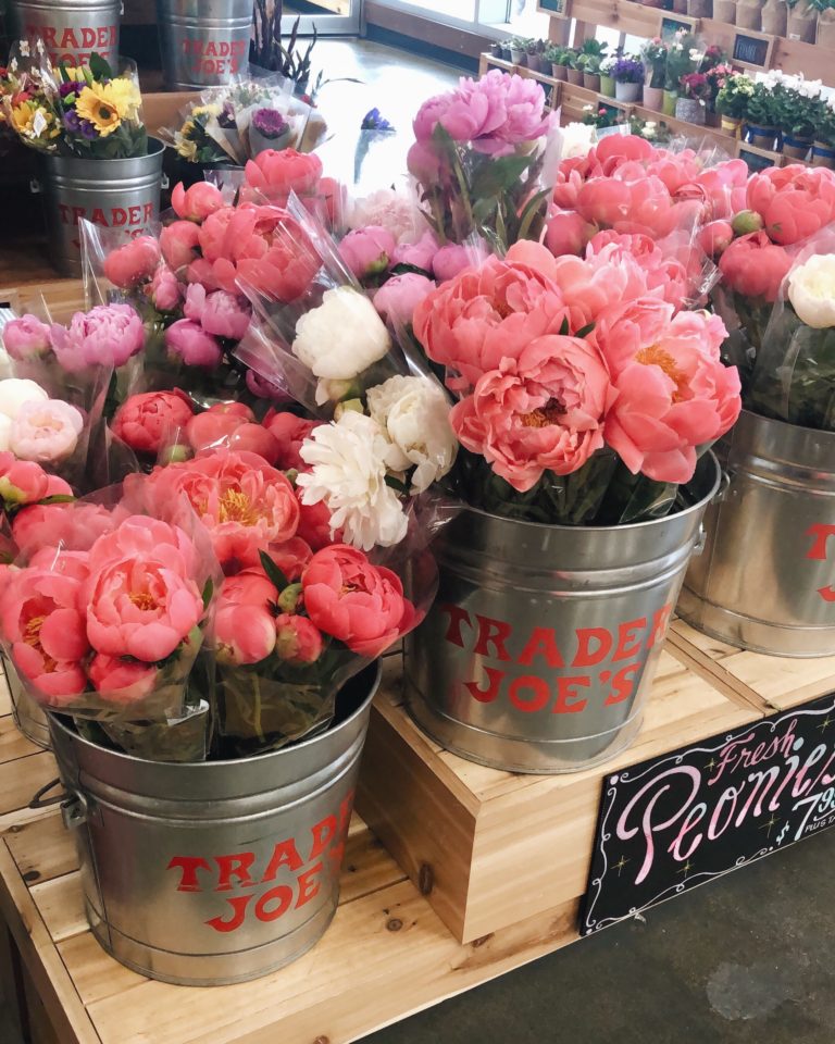 Best of Trader Joe's | Twinspiration