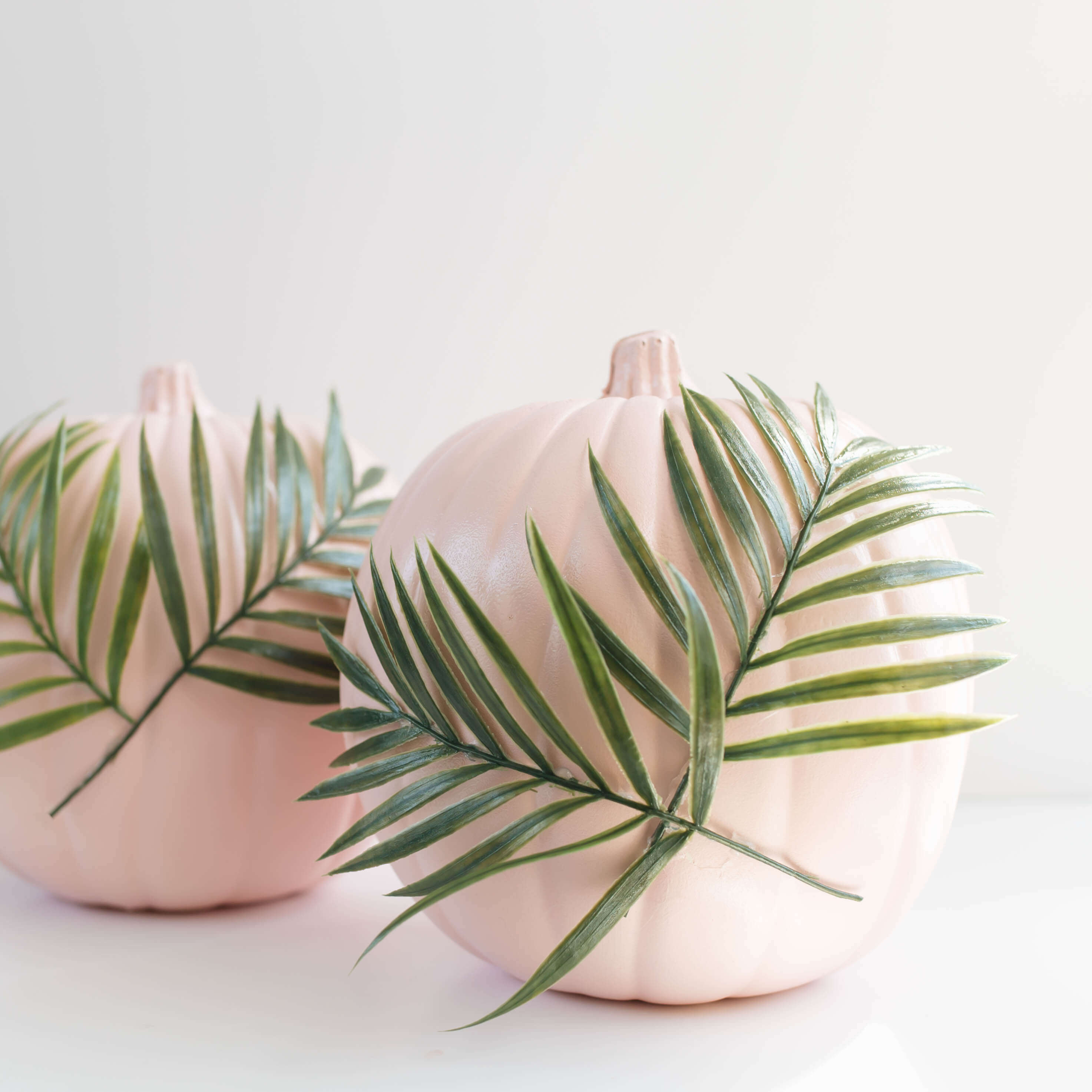 DIY Plants on Pink Pumpkins | Twinspiration