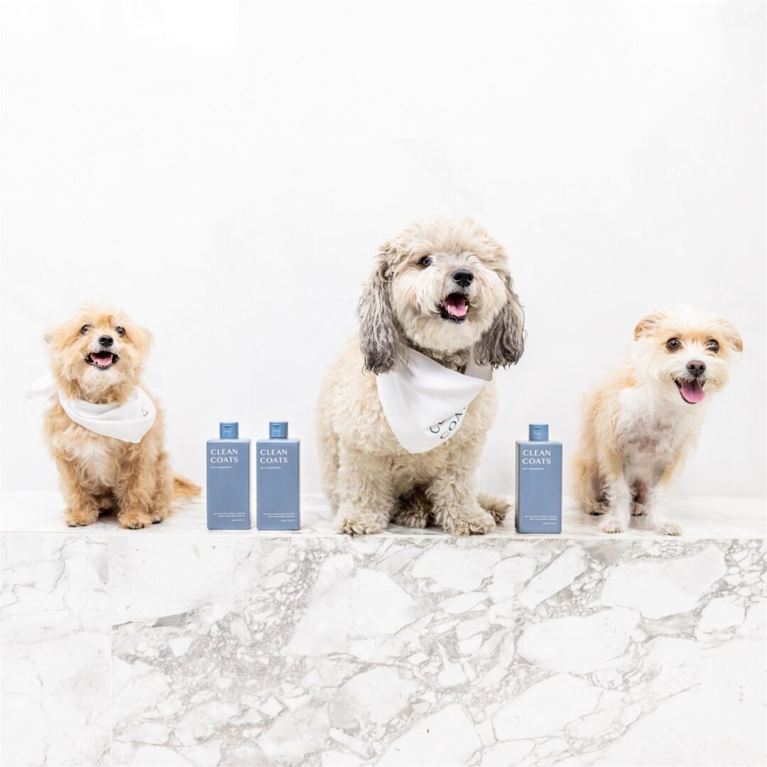 CLEAN COATS Pet Care