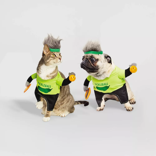 Best Dog Halloween Costumes from Target | Twinspiration