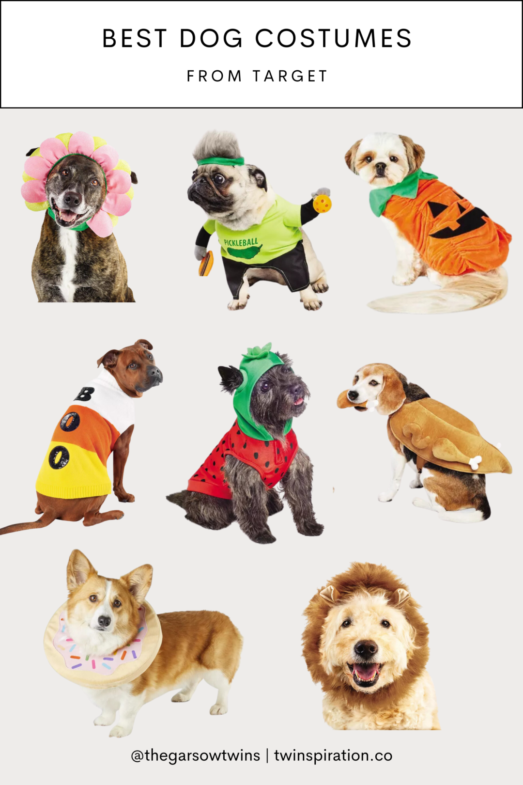 Best Dog Halloween Costumes from Target | Twinspiration