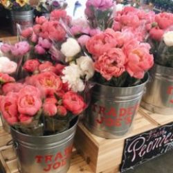 Best of Trader Joe's | Twinspiration