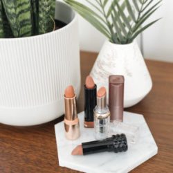 Best Nude Lipsticks | Twinspiration