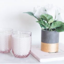 DIY Fir & Grapefruit Candle | Twinspiration