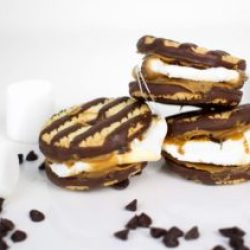 Cookie Lovers S'mores | Twinspiration