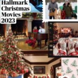 REVIEWING 2023 HALLMARK CHRISTMAS MOVIES | Twinspiration