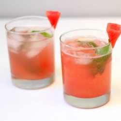 Watermelon Mint Cocktail Recipe by Twinspiration